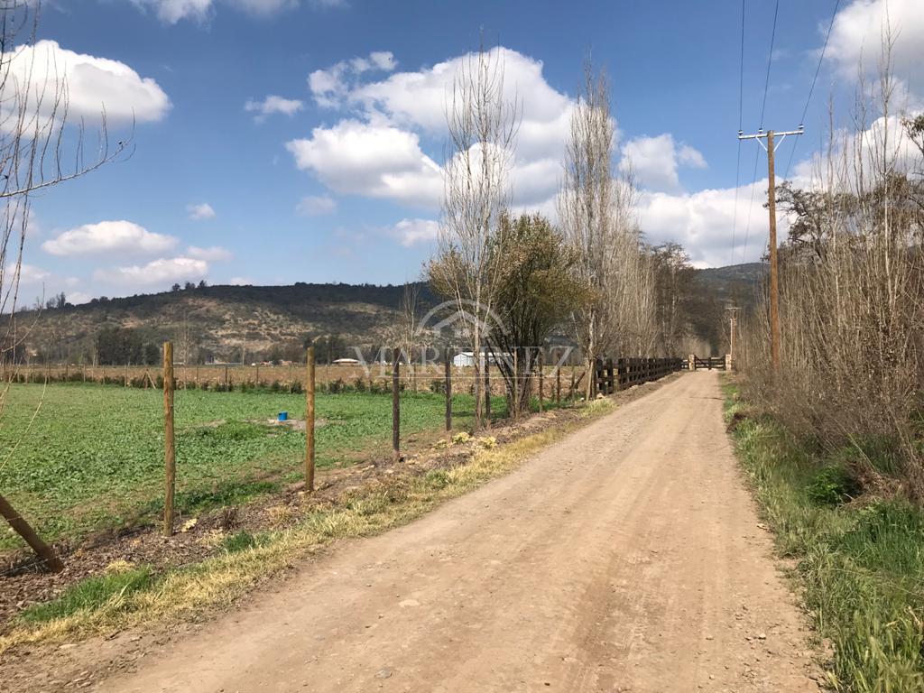 4 HectÃ¡reas en Vinculo ( camino Laguna Aculeo)